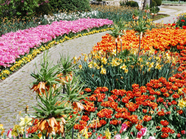 Популярные цветы, которые используют в ландшафтном дизайне