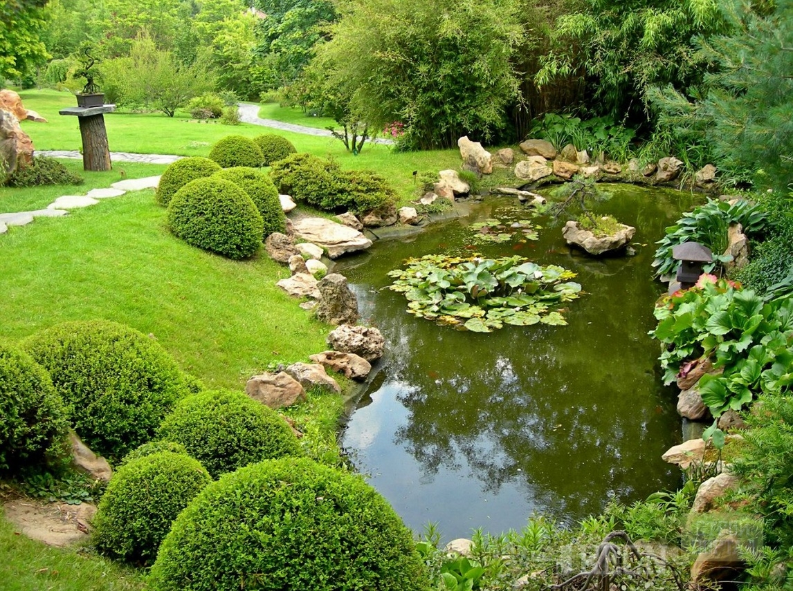 Разновидности и особенности обустройства декоративных садовых прудов
